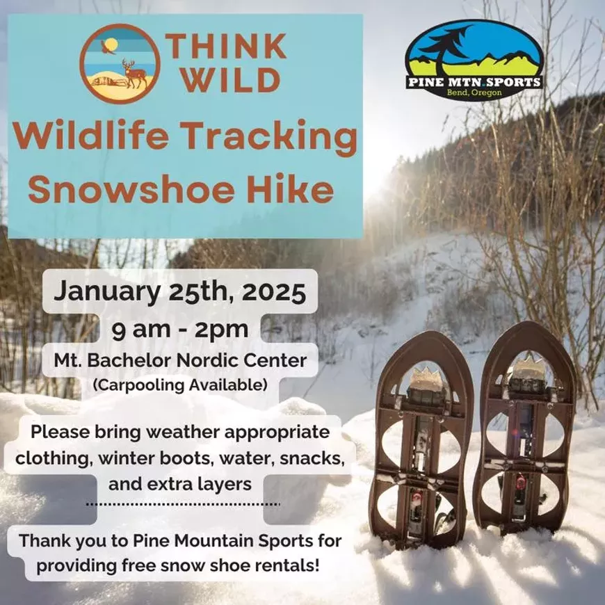 wildlifetrackingsnowshow.webp
