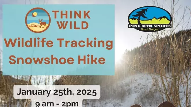 Image: Wildlife Tracking Snowshoe Hike