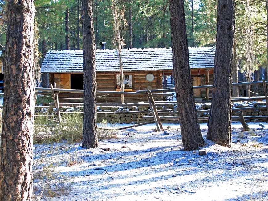 12.11_winter_with_the_millers.webp