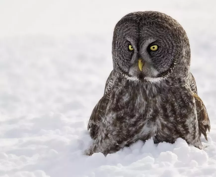 winter_begins.webp