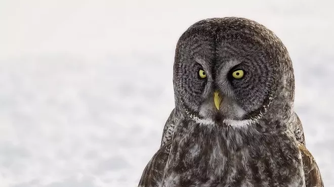 Image: Winter Hours Begin