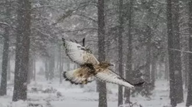 Image: Winter Hours Begin