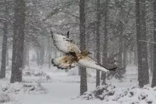 Image: Winter Hours Begin