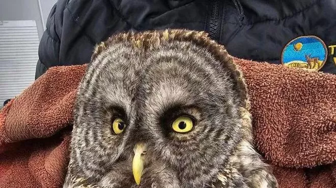 Image: Winter Lecture Series - Working with Wildlife: A Journey Through Rehab, Sanctuaries, and Zoos