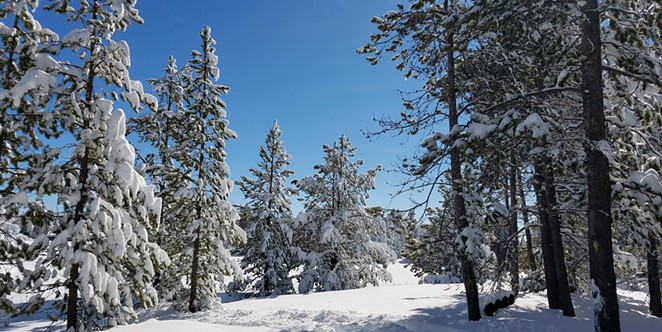 Gather your family for a winter wonderland experience at Sunriver Nature Center