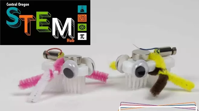 Image: Wobble & Whir: Creating Bristlebot Racers