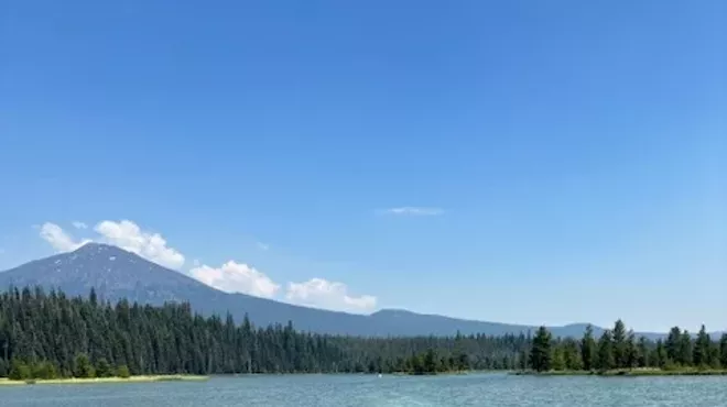 Image: Writing with the Land- A Forest Bathing Writing Workshop