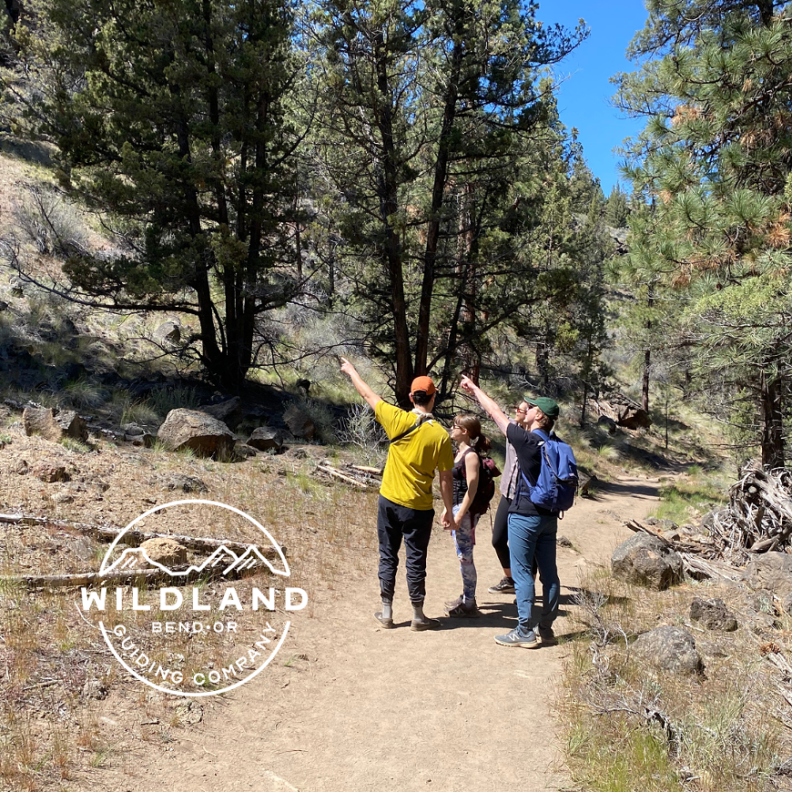tumalo-tour-wildland-guiding-company-s.png