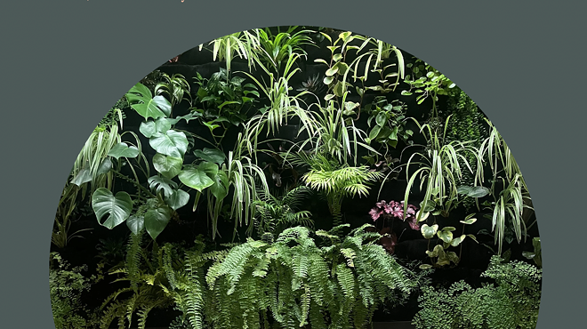 Image: Yoga + Sound Bath at Hanai Center
