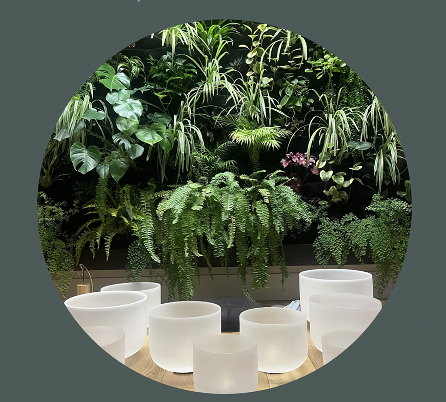 Singing bowls in the Earth room at Hanai